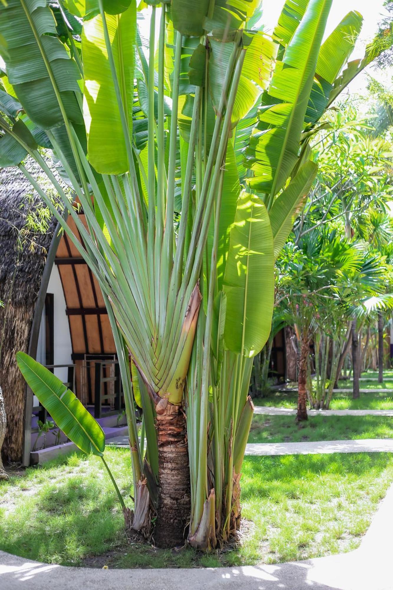 Diversia Diving Club & Bungalows Gili Trawangan Luaran gambar